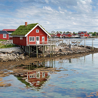 Reine